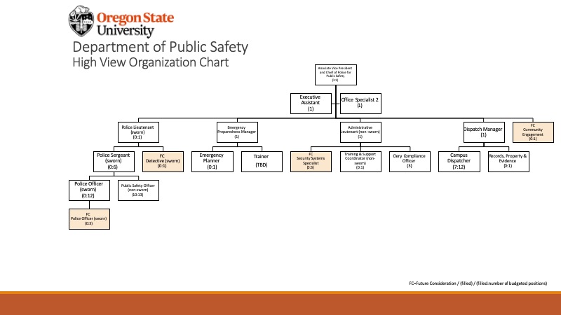 Public Safety Org Chart 2020