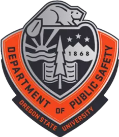 Department of Public Safety Uniform Patch